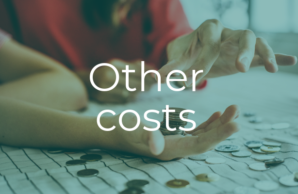 Term For Other Costs