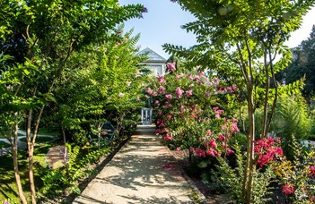 A 250 éves kert történetét és növényeit Kiss Noémi mutatja be.